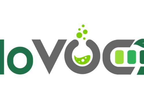 Launch NoVOC website