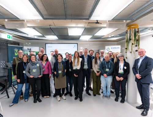 Battery Heroes feat COLLABAT workshop on impact & sustainability of Battery clusters